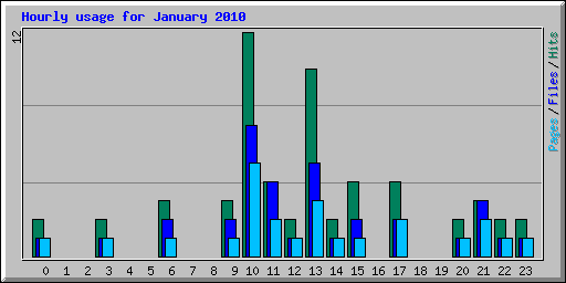 Hourly usage for January 2010